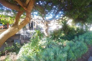 9 Bedroom Property for Sale in Jeffreys Bay Central Eastern Cape
